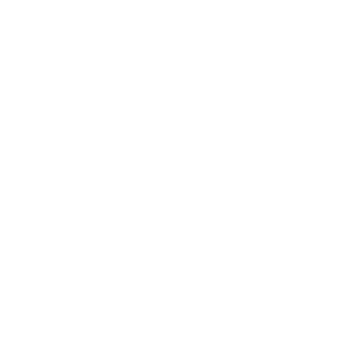 Boris kamgo